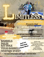 Limitless Performance Horses Game show Pictures